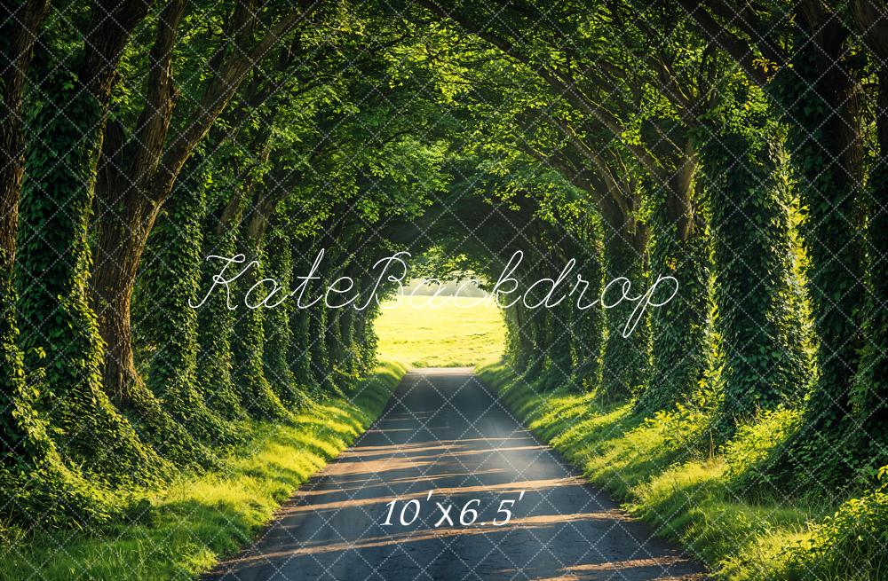 Lightning Deals Kate Spring Forest Tunnel Sunlit Path Backdrop Designed by Emetselch -UK