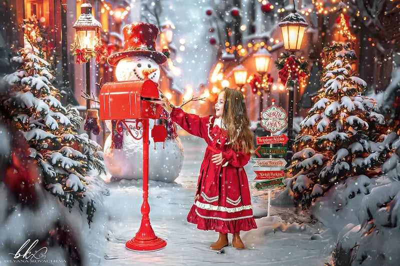 Kate Christmas Snowman Winter Street Lights Backdrop Designed by Emetselch -UK