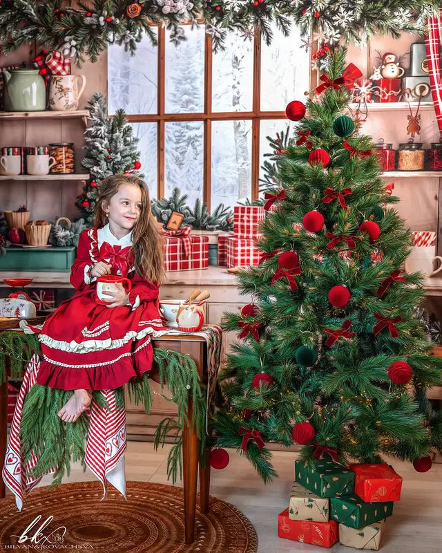 Kate Christmas Kitchen Red Plaid Gifts Backdrop Designed by Emetselch -UK