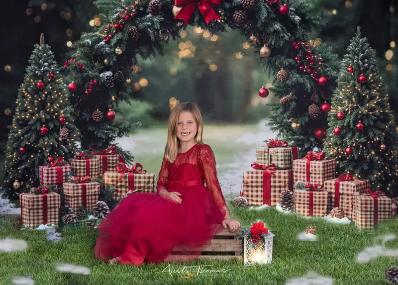 Kate Christmas Arch Gift Boxes Forest Backdrop Designed by Emetselch -UK
