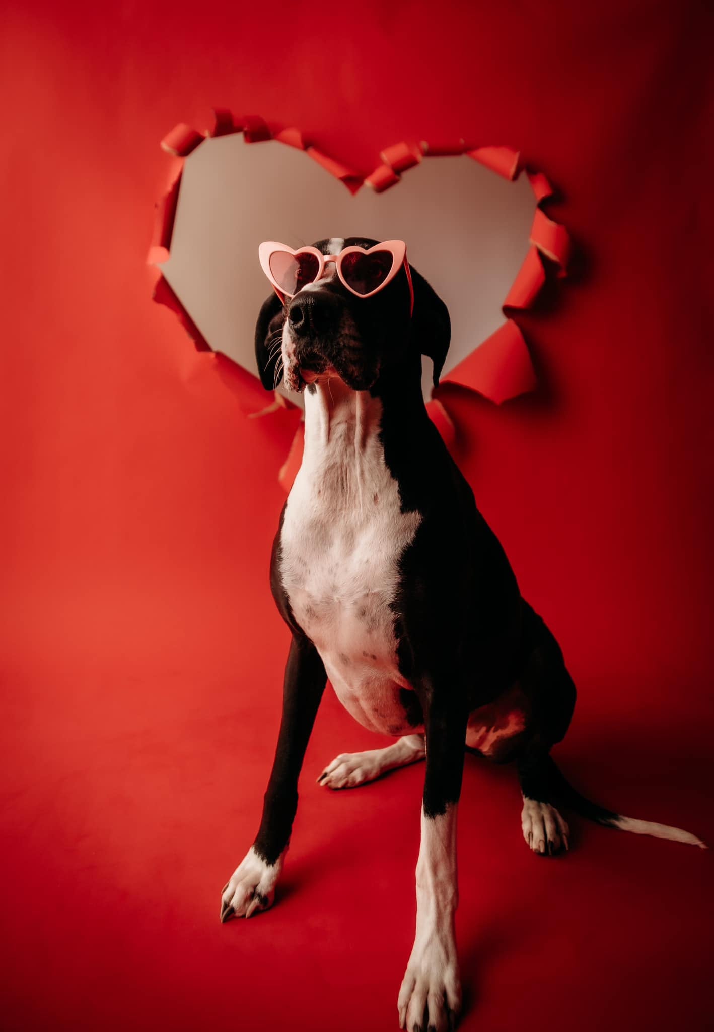 Kate Red Seamless Paper Backdrop for Photography -UK