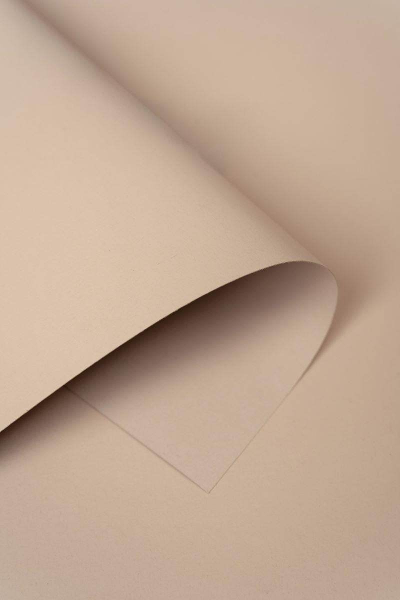 Kate Beige Brown Seamless Paper Backdrop for Photography