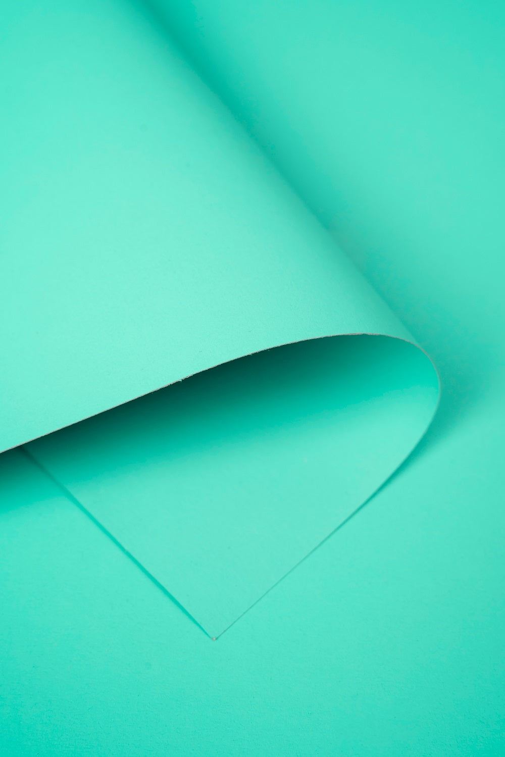 Kate Alpine Green Seamless Paper Backdrop for Photography -UK
