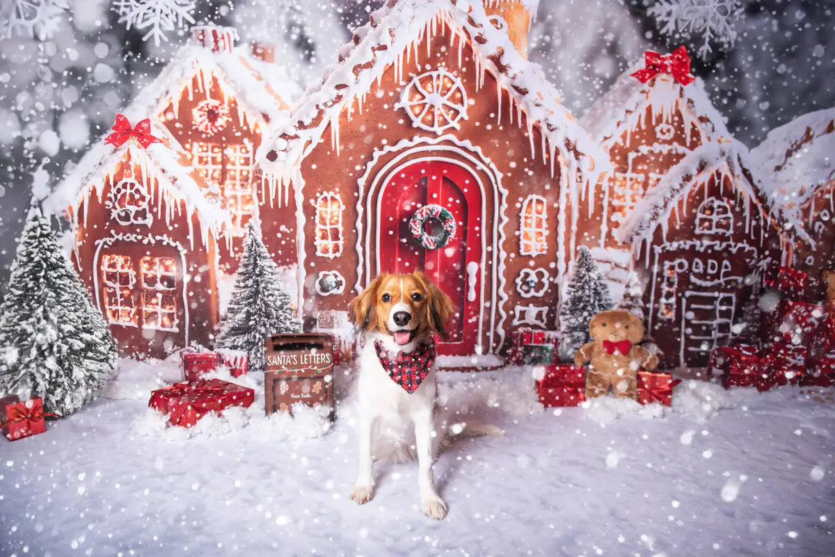 Lightning Deals Kate Christmas Gingerbread Houses Snowy Backdrop+Winter Snow Floor Backdrop -UK