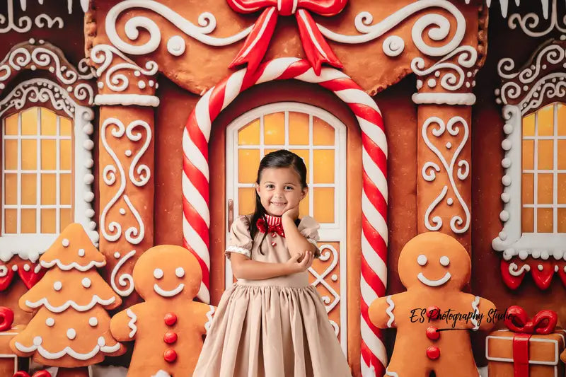Kate Christmas Gingerbread House Bow Backdrop Designed by Patty Robert
