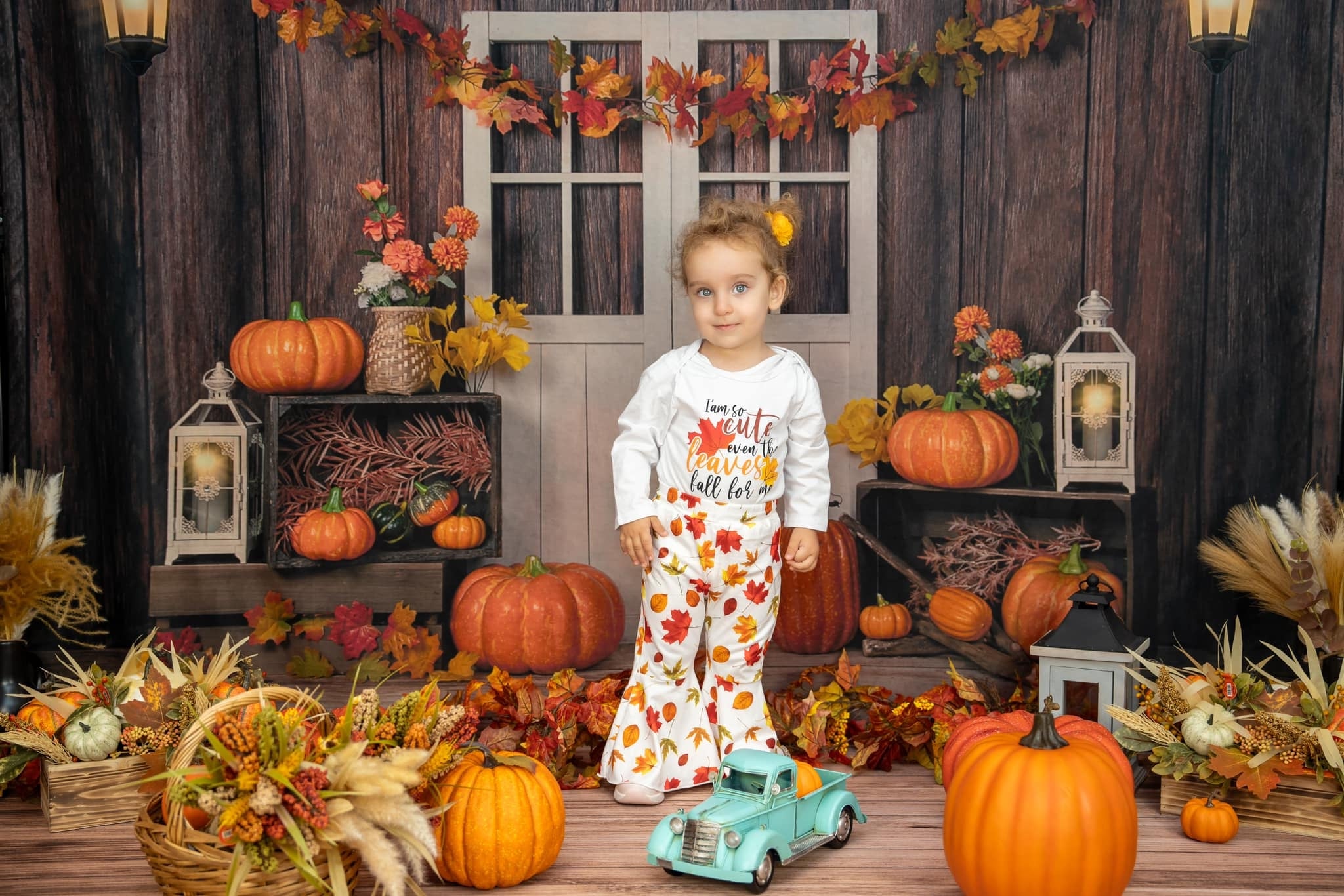 Kate Autumn/Thanksgiving Pumpkins Backdrop Designed by Jia Chan Photography