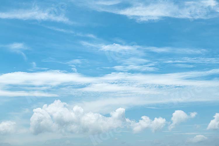 Kate Scenery Blue Sky Summer White Clouds Backdrop Designed by Kate Image -UK