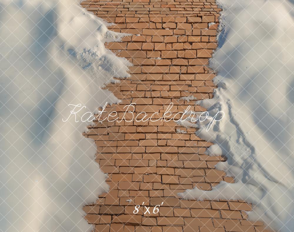 Kate Cobblestone Path Snow Fleece Backdrop Designed by Emetselch