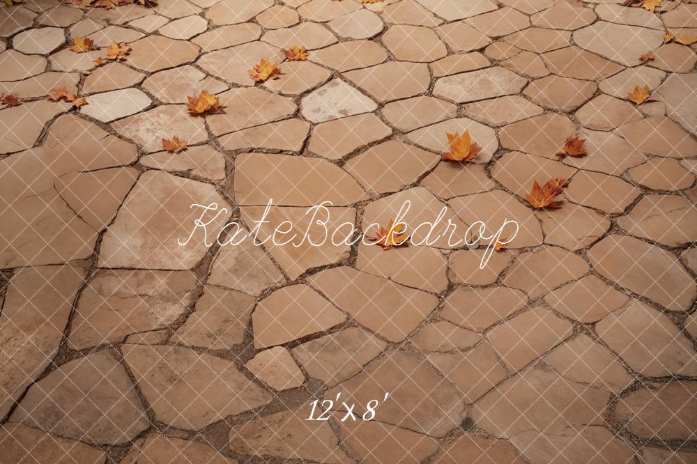 Kate Autumn Leaves Cobblestone Ground Floor Backdrop Designed by Emetselch