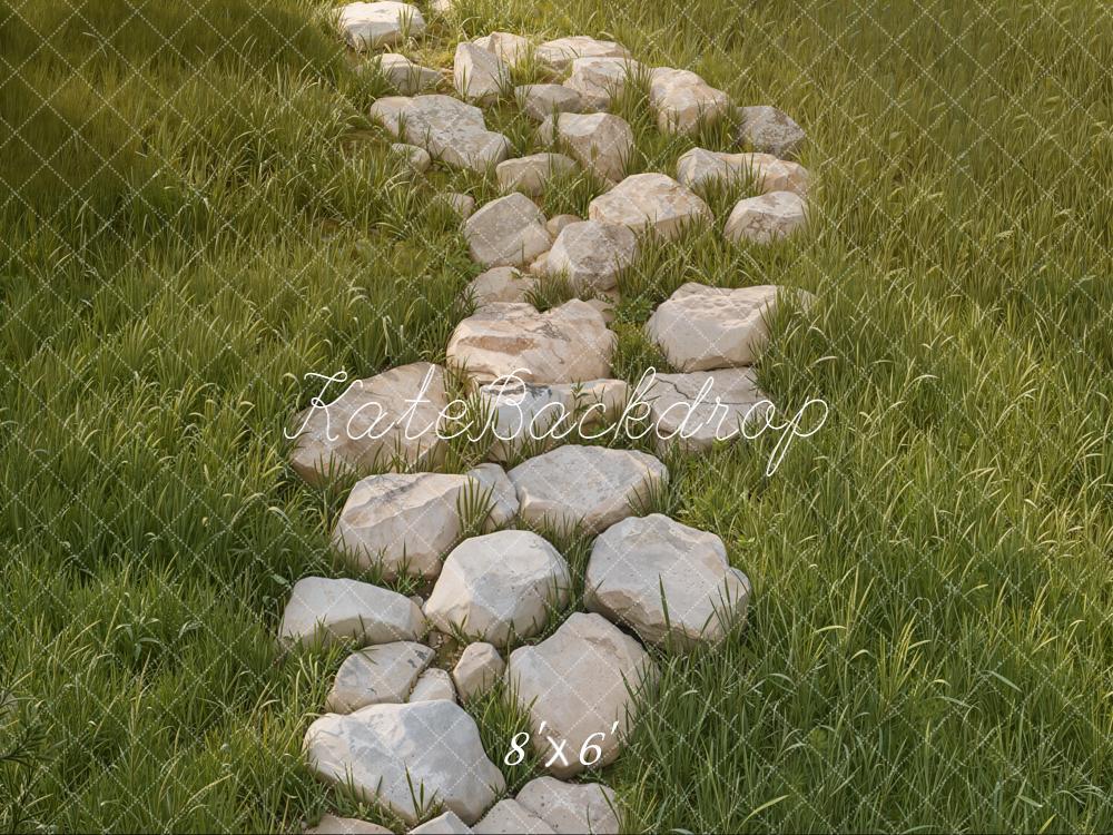 Kate Stone Pathway Grass Field Floor Fleece Backdrop Designed by Kate Image -UK