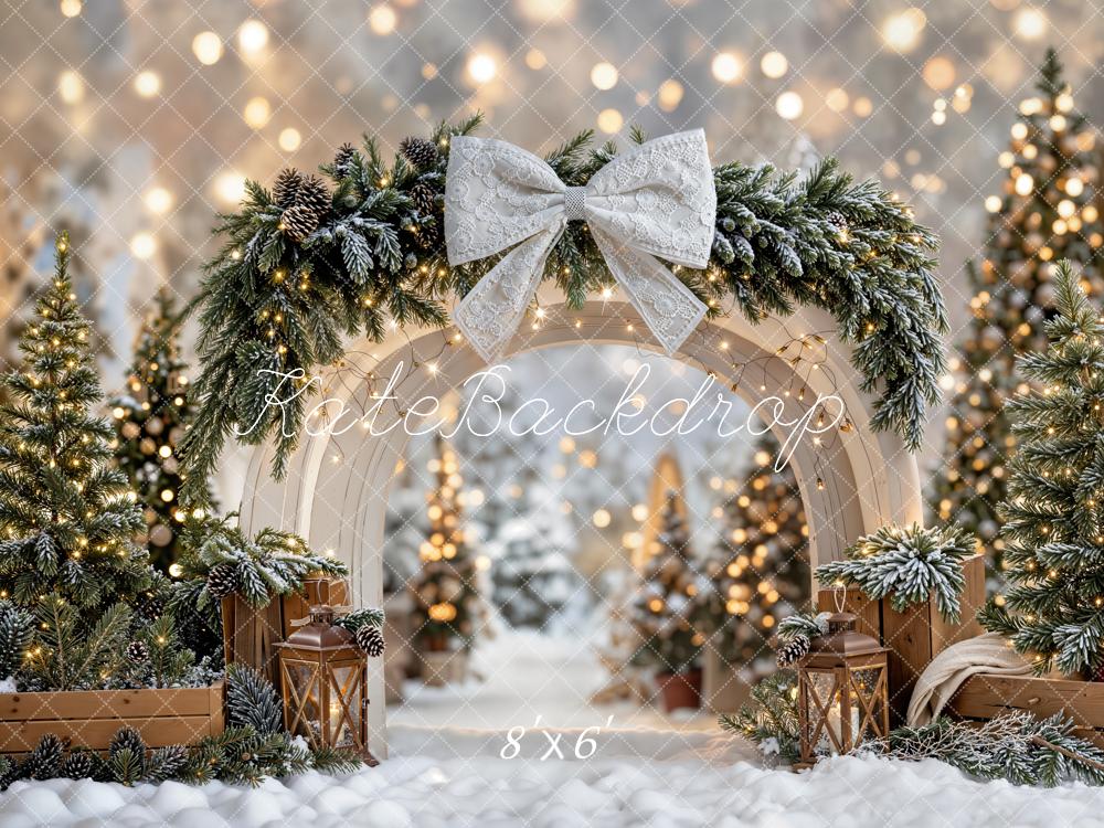 Kate Christmas Winter Arch Snowy Fleece Backdrop Designed by Emetselch -UK