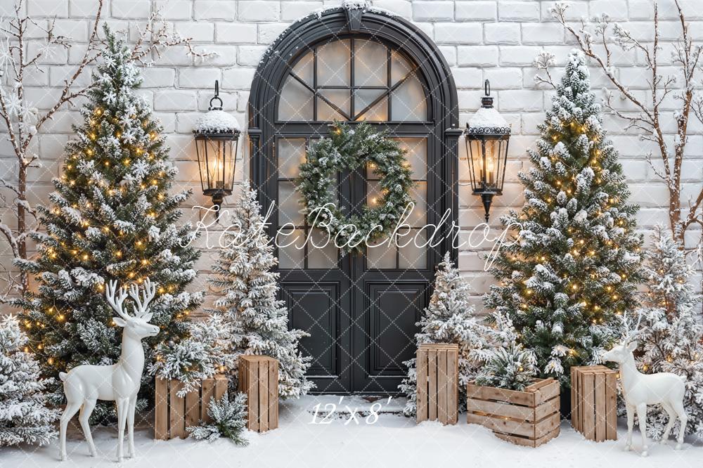 Kate Christmas Snowy Trees Black Door Backdrop Designed by Emetselch -UK