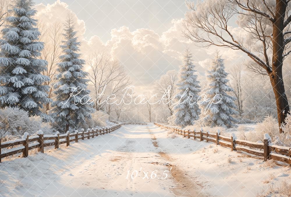 Kate Winter Snowy Path Fence Fleece Backdrop Designed by Emetselch -UK
