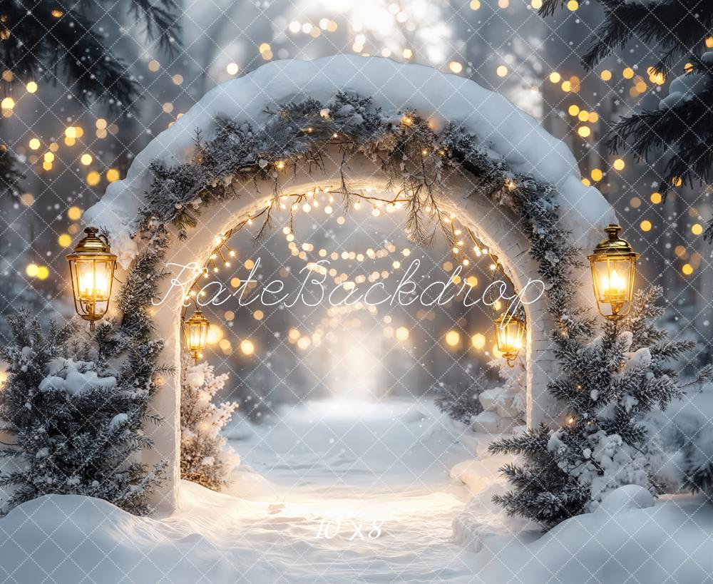 Kate Winter Arch Snow Lights Fleece Backdrop Designed by Emetselch -UK
