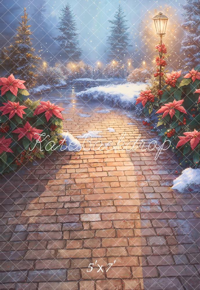 Kate Christmas Snowy Stone Path Poinsettia Lamp Backdrop Designed by Emetselch