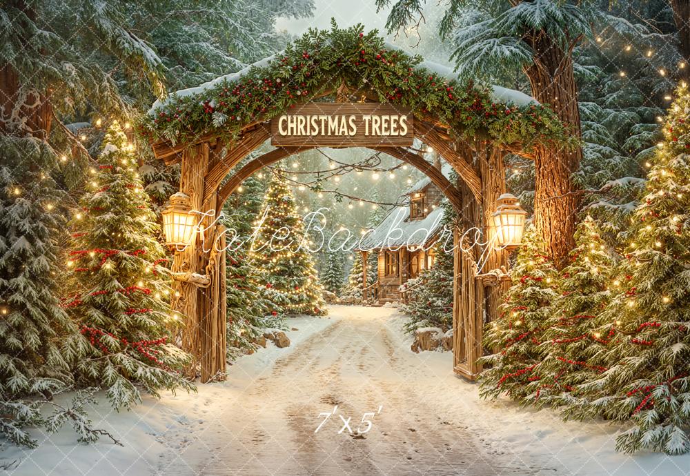 Kate Christmas Arch Snowy Trees Path Backdrop Designed by Emetselch