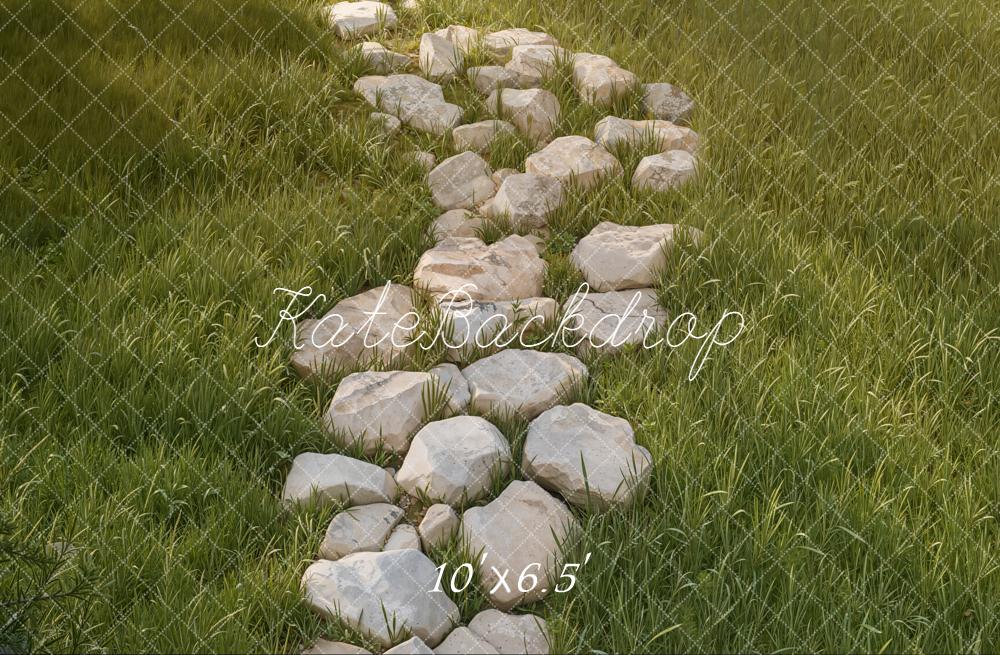 Kate Stone Pathway Grass Field Floor Fleece Backdrop Designed by Kate Image -UK