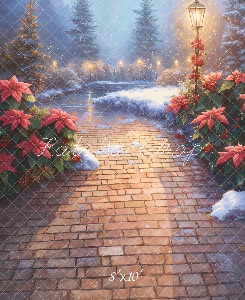 Kate Christmas Poinsettia Snowy Path Fleece Backdrop Designed by Emetselch -UK