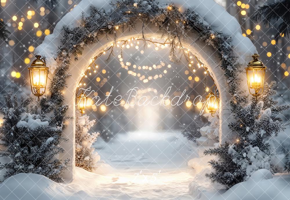 Kate Christmas Winter Arch Snow Lights Backdrop Designed by Emetselch -UK