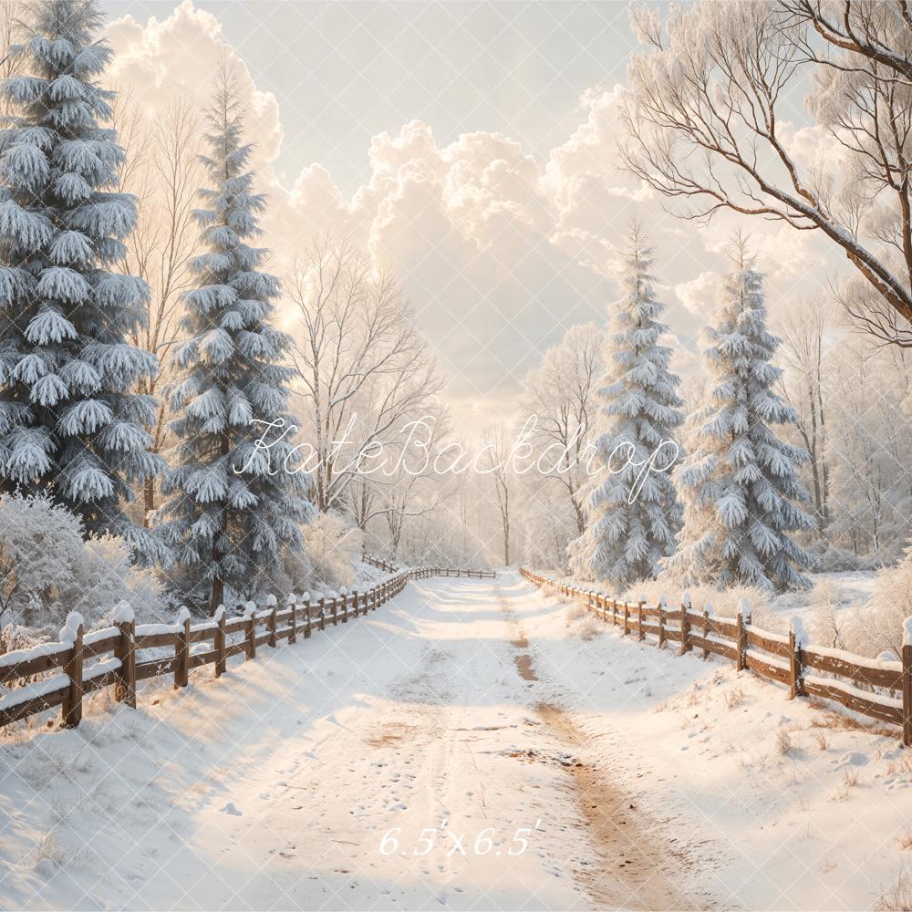 Kate Winter Snowy Path Fence Backdrop Designed by Emetselch -UK