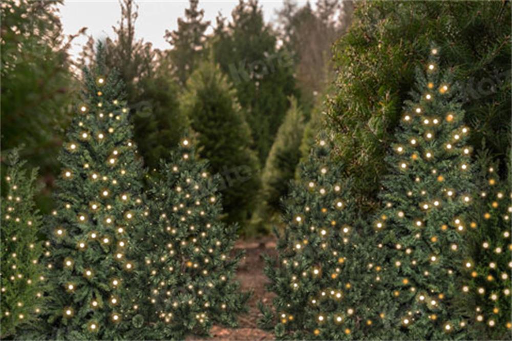 Kate Christmas Trees Forest Backdrop for Photography