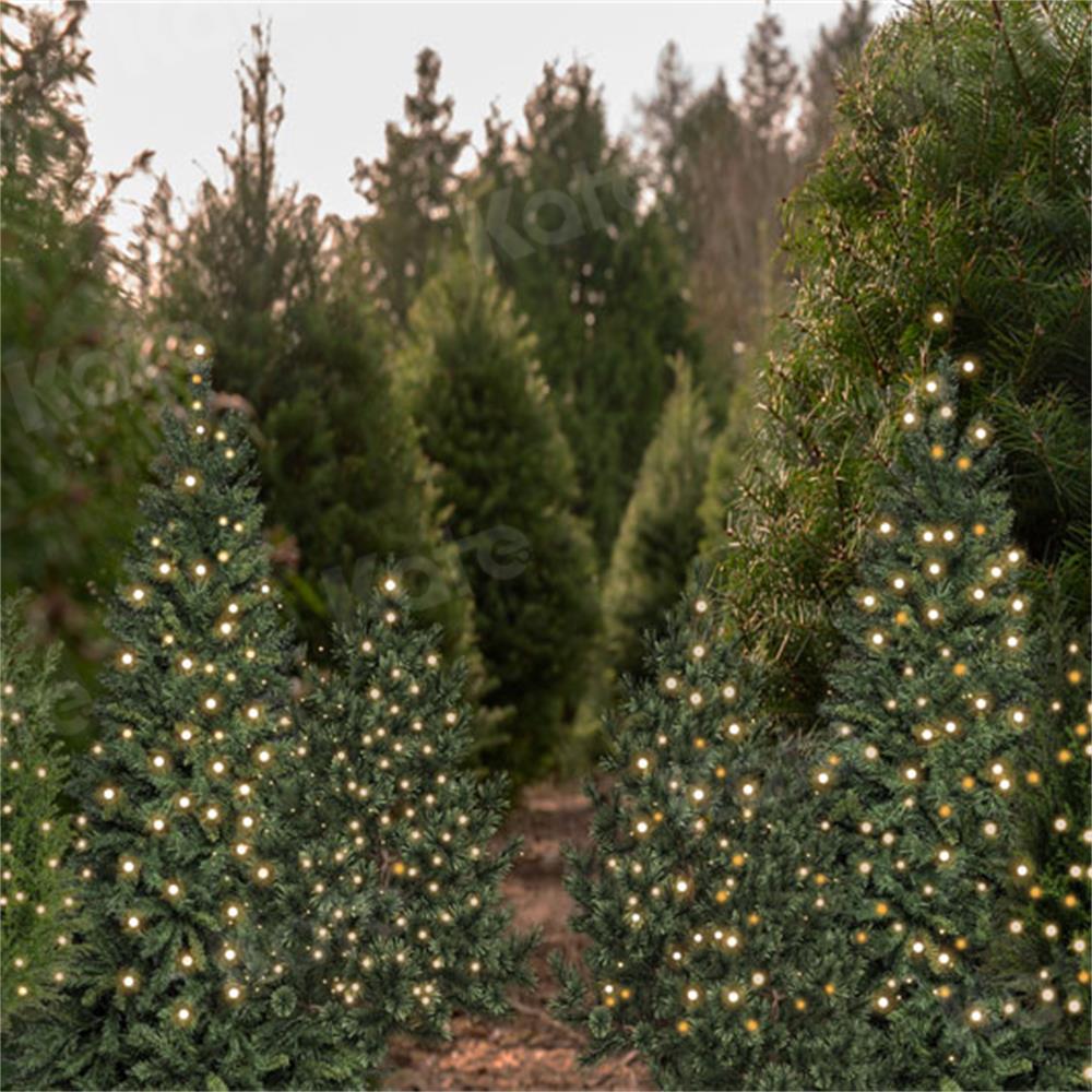 Kate Christmas Trees Forest Backdrop for Photography