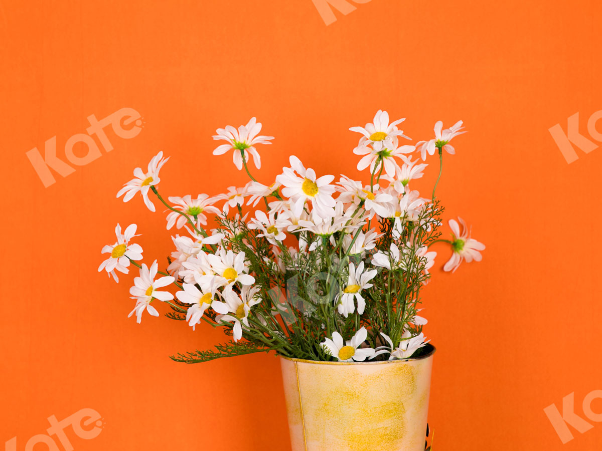 Kate Solid Orange Color Portrait Photography Backdrop for Studio(HGCSB)