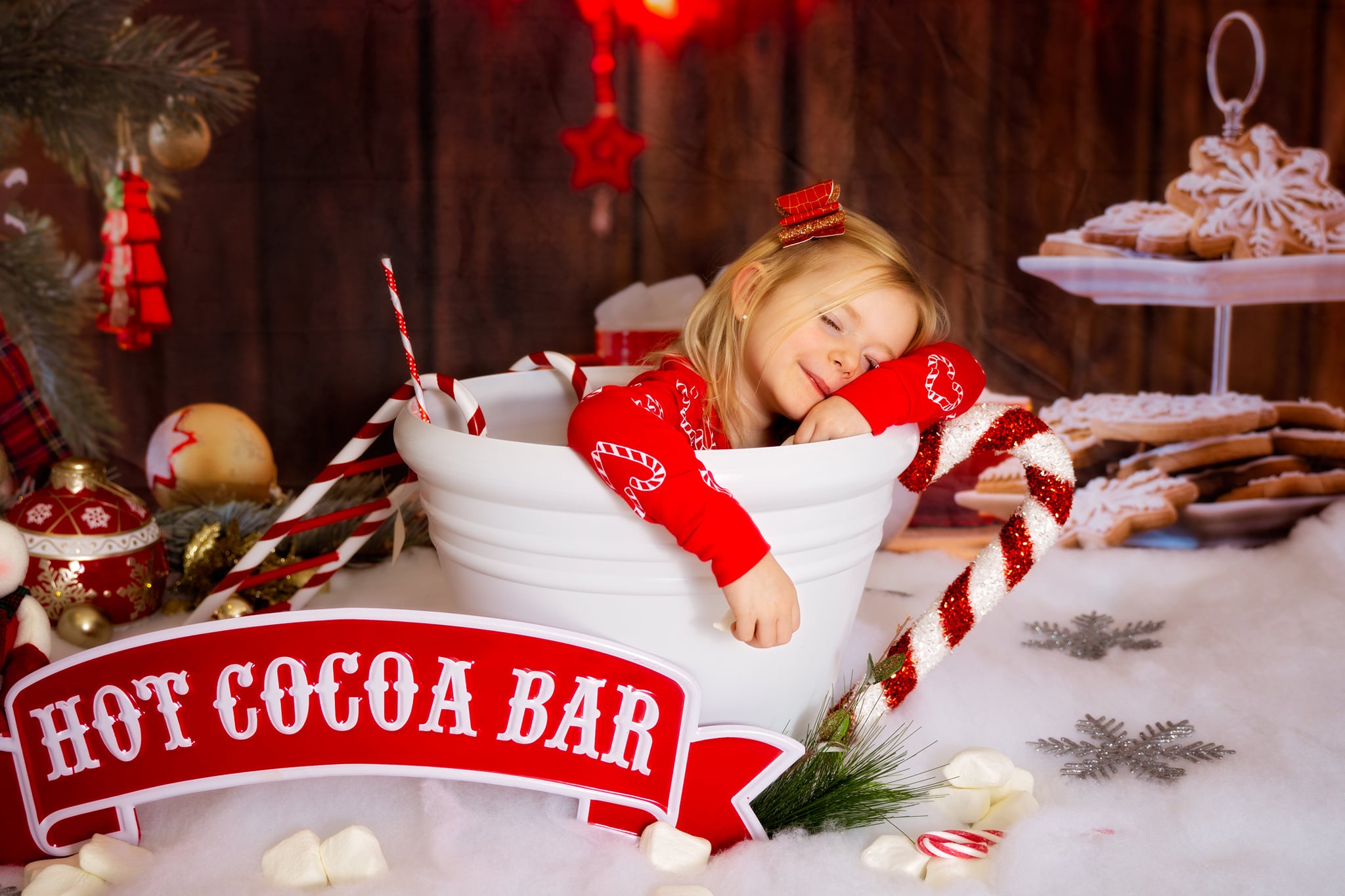 Kate Christmas Cookies Wood Hot Cocoa Backdrop for Photography