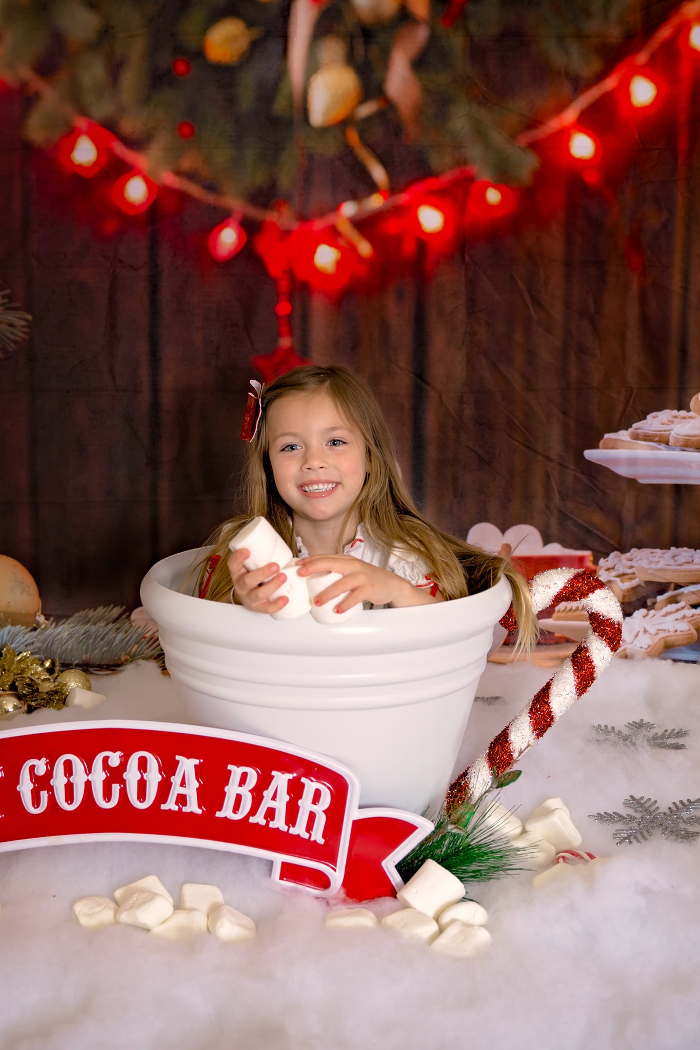 Kate Christmas Cookies Wood Hot Cocoa Backdrop for Photography