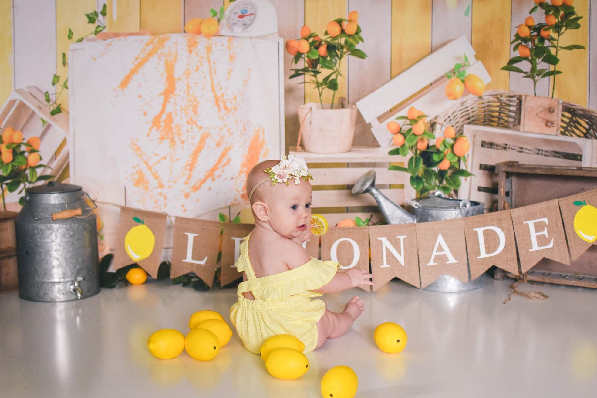 Kate Summer Lemonade Stand Backdrop Designed by Jia Chan Photography