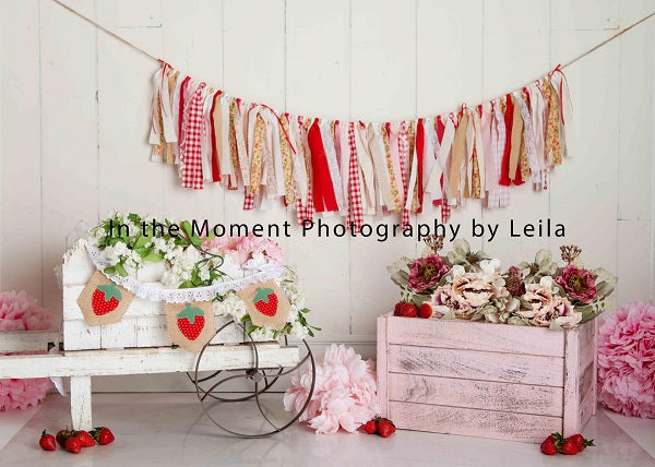 Strewberry Pink Decorations Summer Backdrop