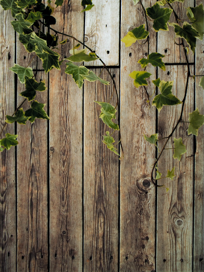 Katebackdrop：Kate Spring Scenery Wooden Wall With Leaves Backdrop