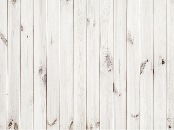 Katebackdrop£ºKate Solid White Retro Wooden Wall Rubber Floor Mat