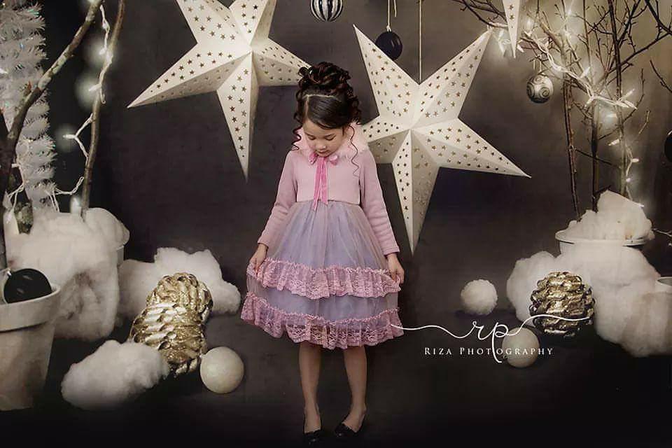 Kate Christmas Grey Star Backdrops for Photography