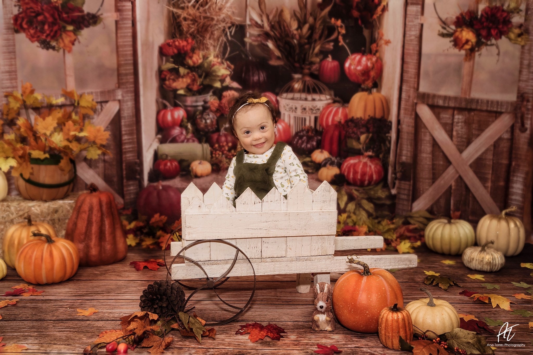Kate Autumn Pumpkins Greenhouse Backdrop designed by Arica Kirby -UK