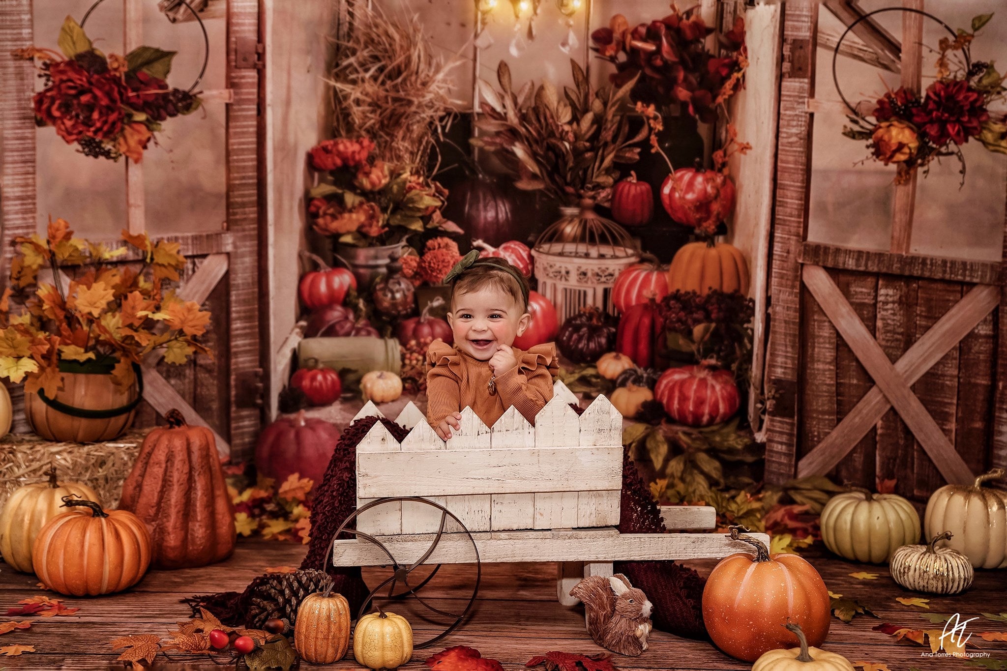 Kate Autumn Pumpkins Greenhouse Backdrop designed by Arica Kirby