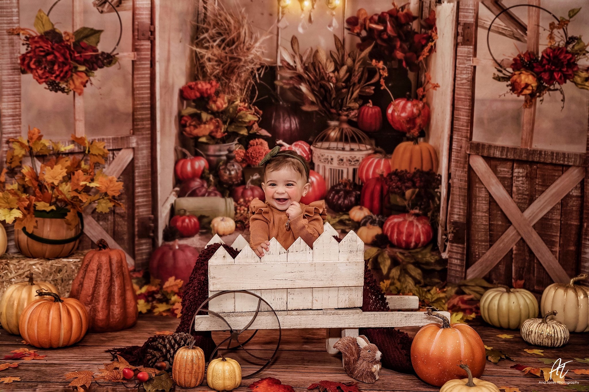 Kate Autumn Pumpkins Greenhouse Backdrop designed by Arica Kirby -UK