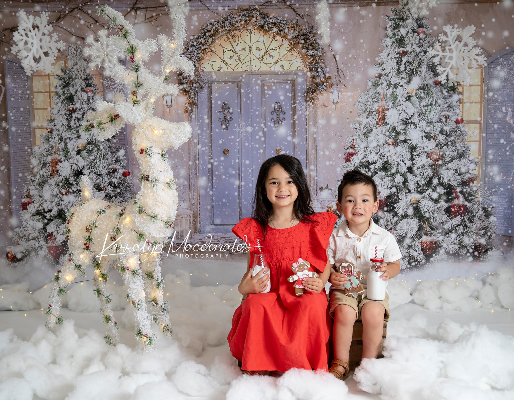 Kate Christmas Door Front Snow Backdrop for Photography