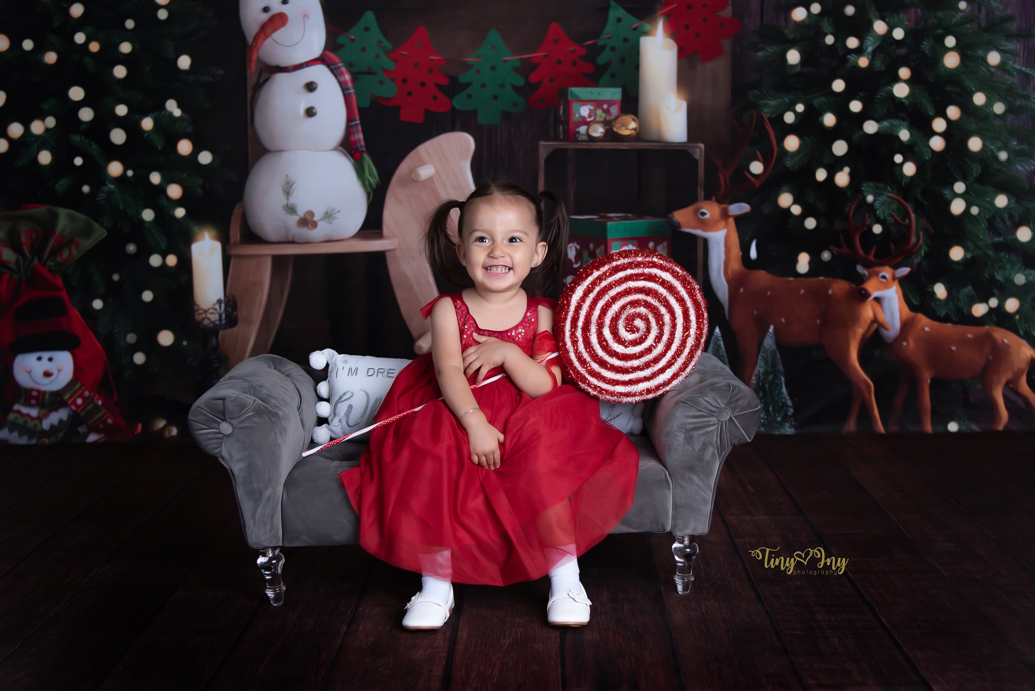 Kate Christmas Room with Elk Snowman Decorations Backdrop Designed by Emetselch