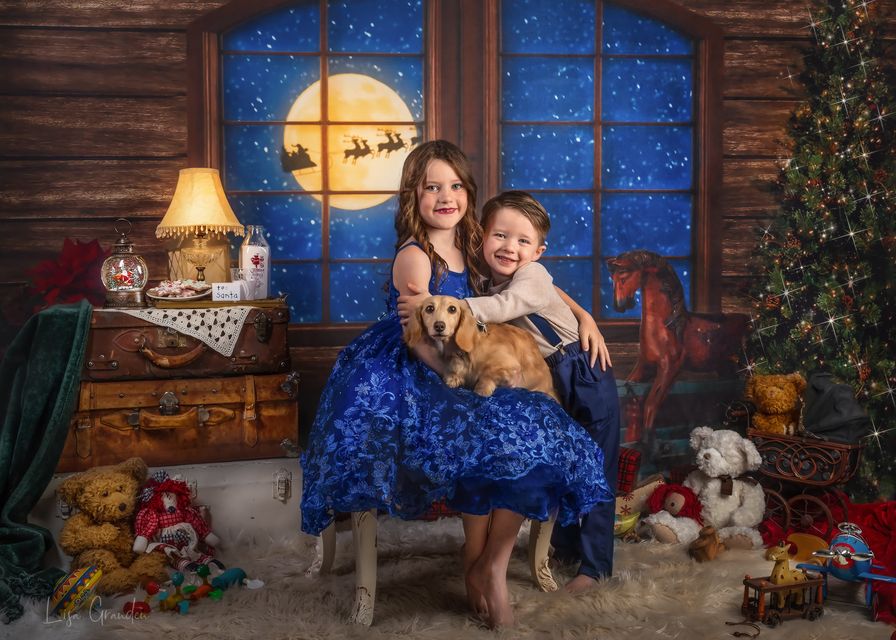 Kate Christmas Tree Santa Window Backdrop for Photography Designed by Lisa Granden -UK
