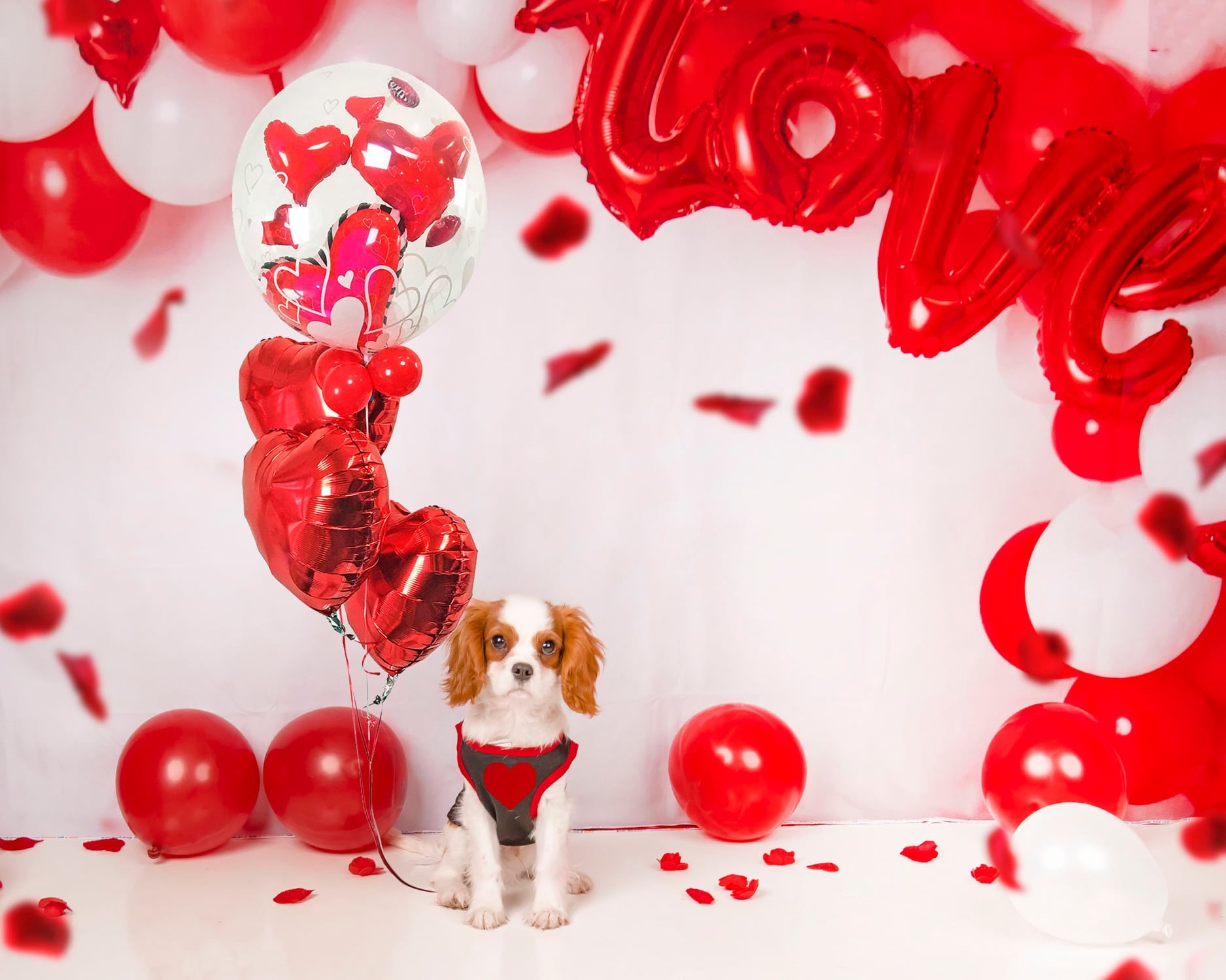 Kate Valentine's Day Balloon Arch Backdrop for Photography -UK