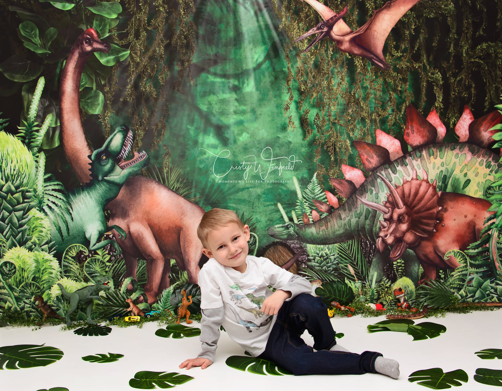 Kate Jungle Adventure Dinosaurs Backdrop Designed by Mandy Ringe Photography