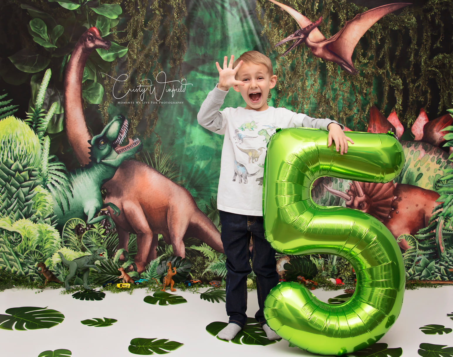 Kate Jungle Adventure Dinosaurs Backdrop Designed by Mandy Ringe Photography