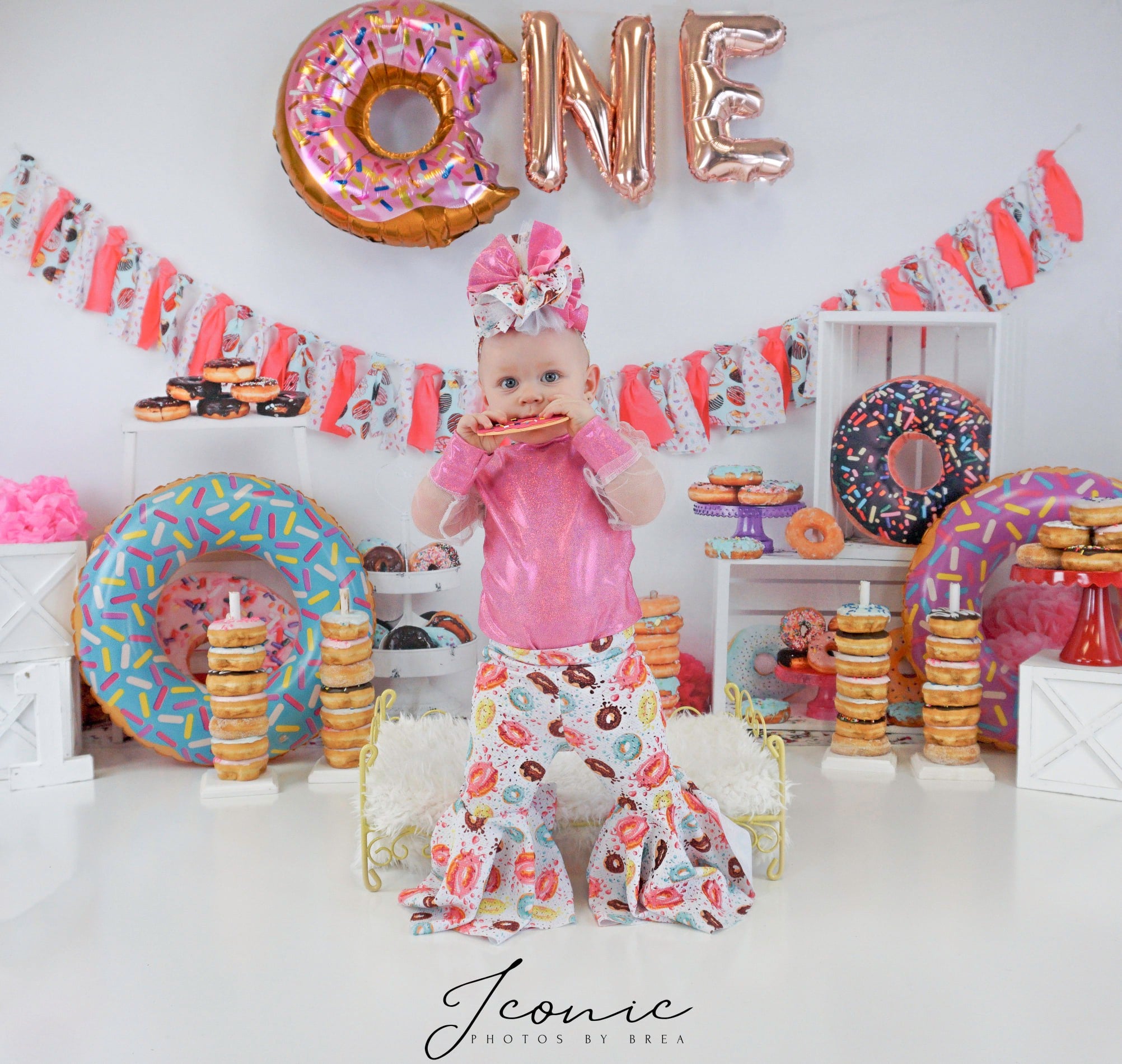 Kate Pink Donut Banners Children Backdrop