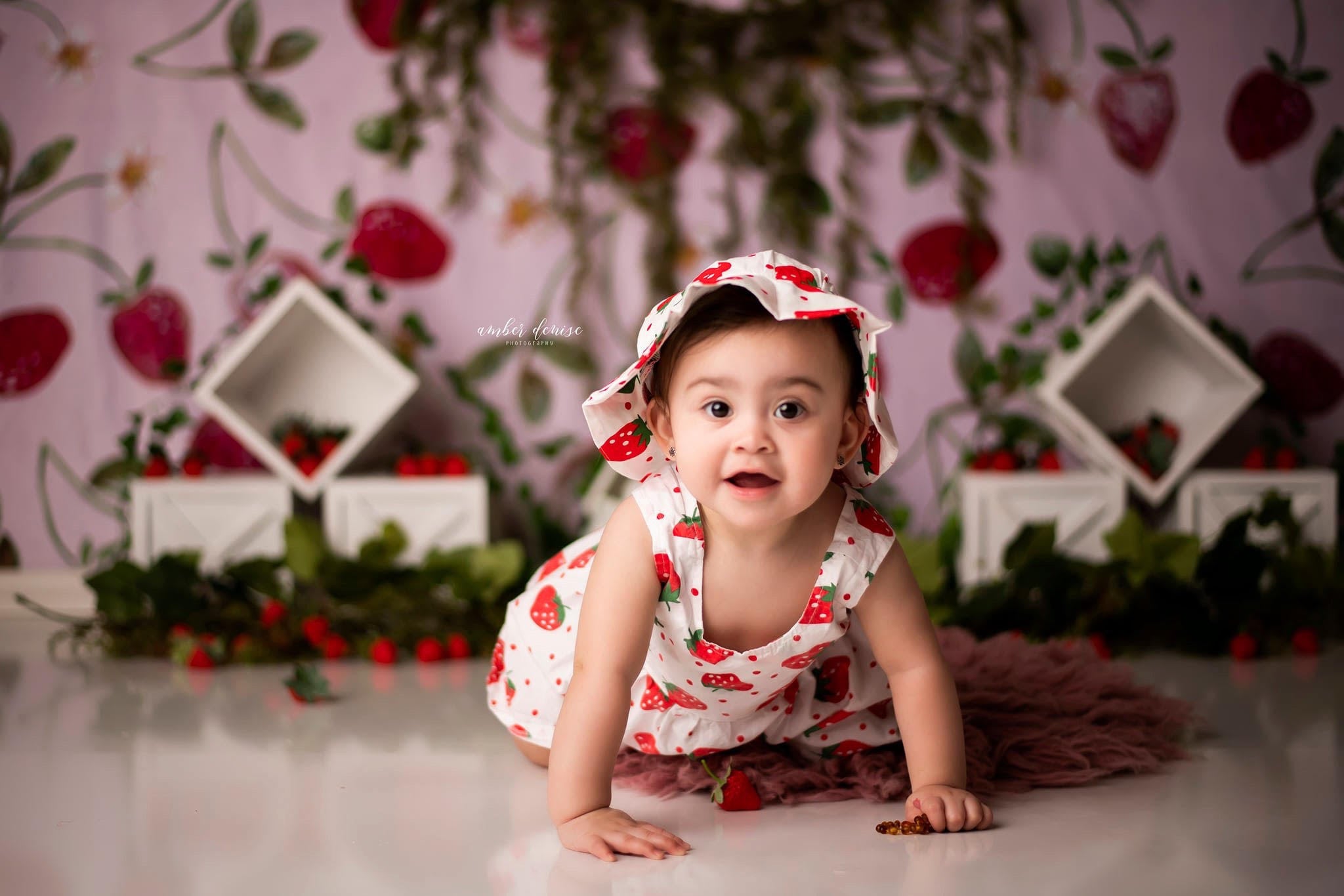 Kate Strawberry Watercolor Backdrop Designed by Mandy Ringe Photography