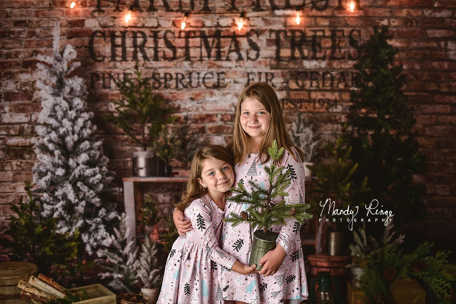 Kate Christmas Farm Fresh Tree Backdrop Designed by Mandy Ringe Photography