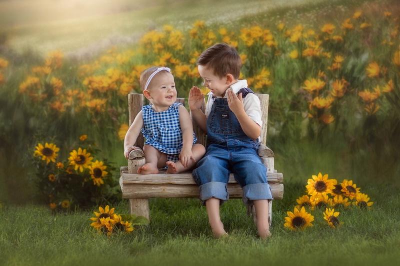 Kate Mountain Meadow Sunflower Backdrop for Photography Designed by Lisa Granden