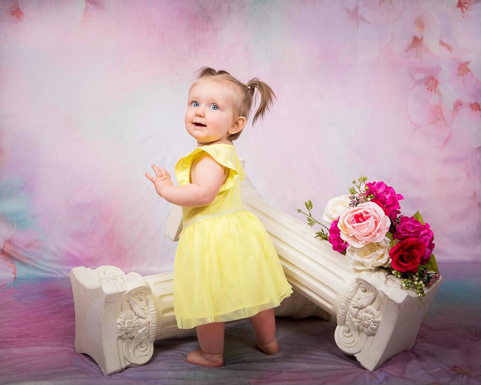 Kate Flowers Backdrop Pink Peach Blossom Designed by Chain Photography