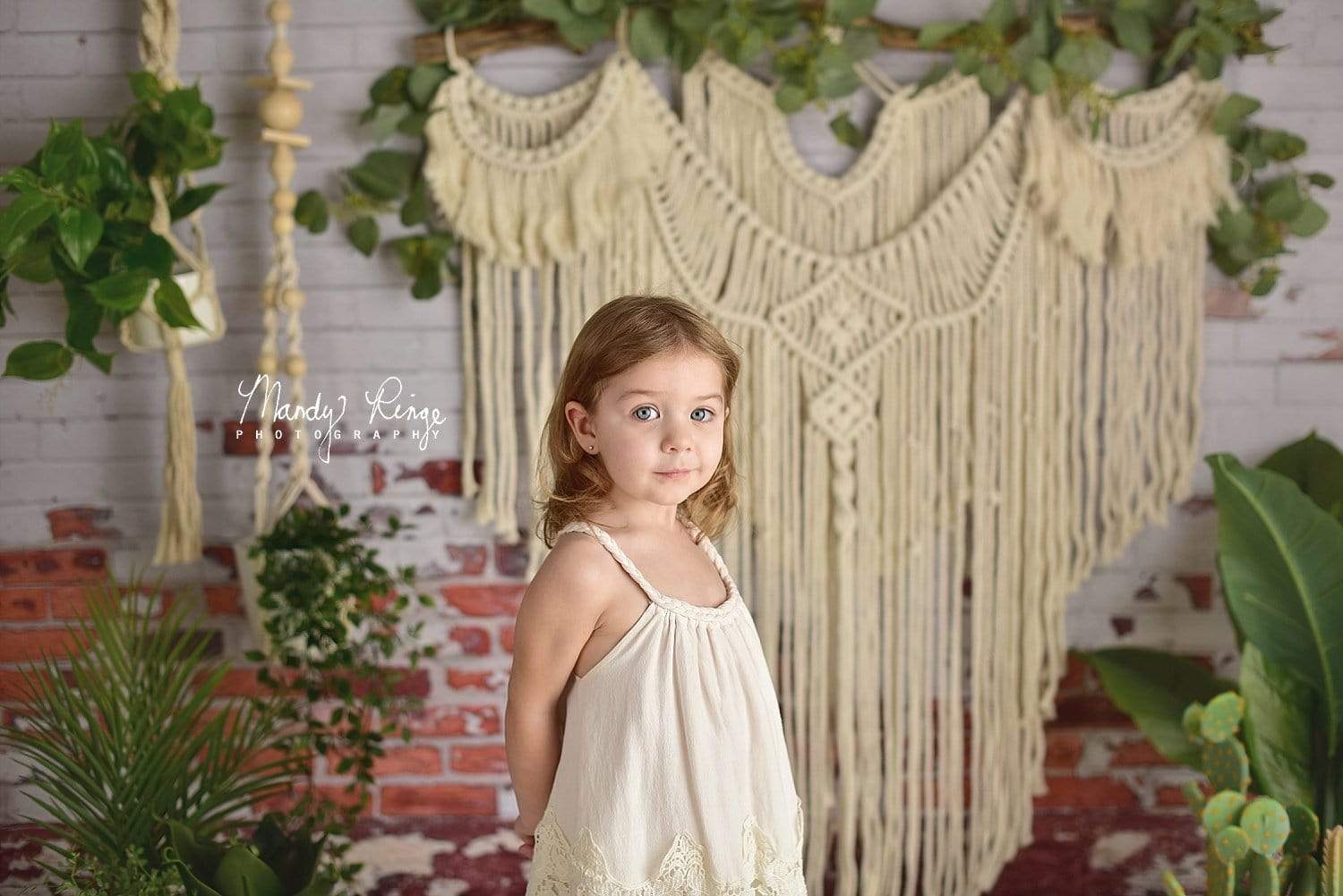 Kate Boho Macrame Wall with Plants Backdrop Designed By Mandy Ringe Photography