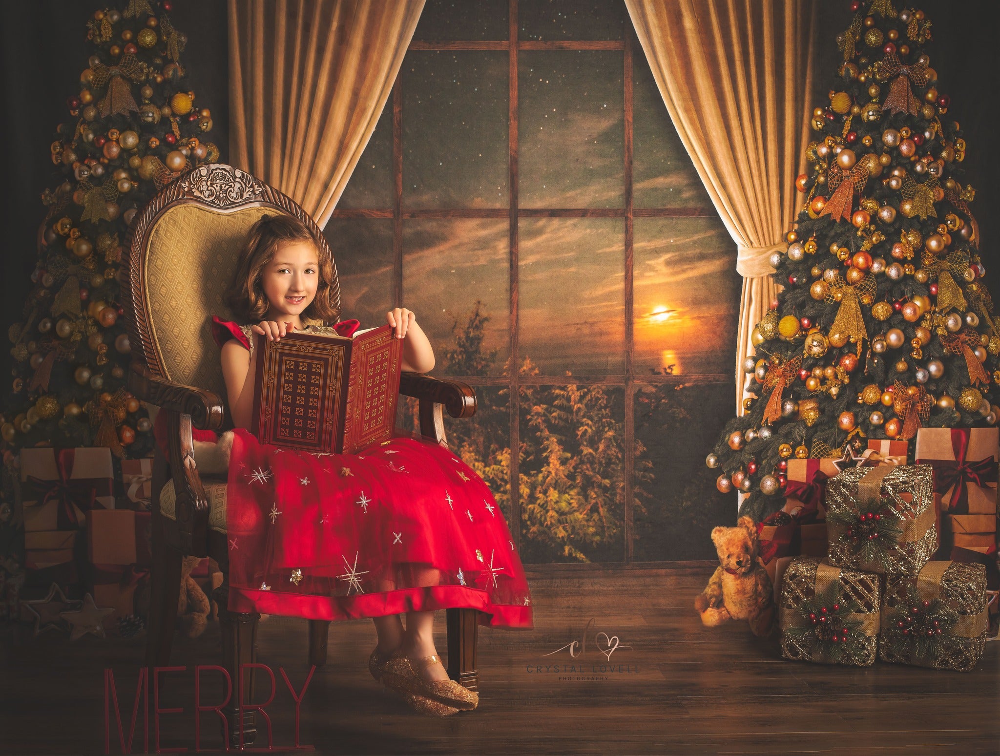 Kate Warm Christmas Trees Window Backdrop for Photography